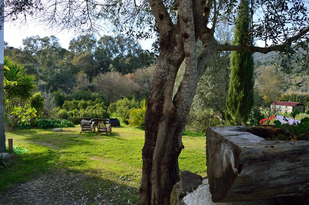 Casa Rural Ahoraya El Colmenar ภายนอก รูปภาพ