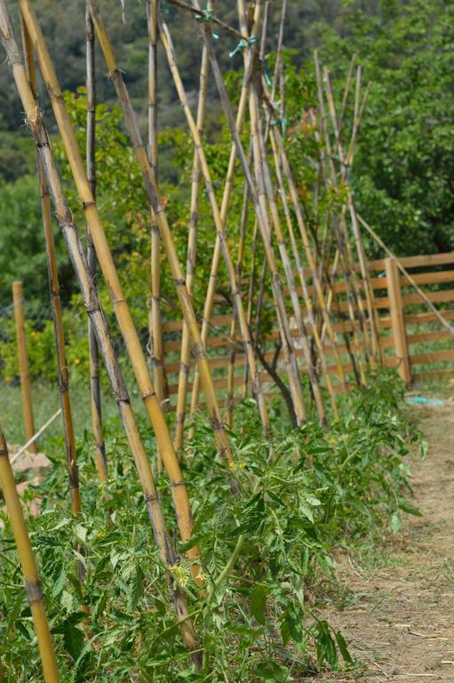 Casa Rural Ahoraya El Colmenar ภายนอก รูปภาพ