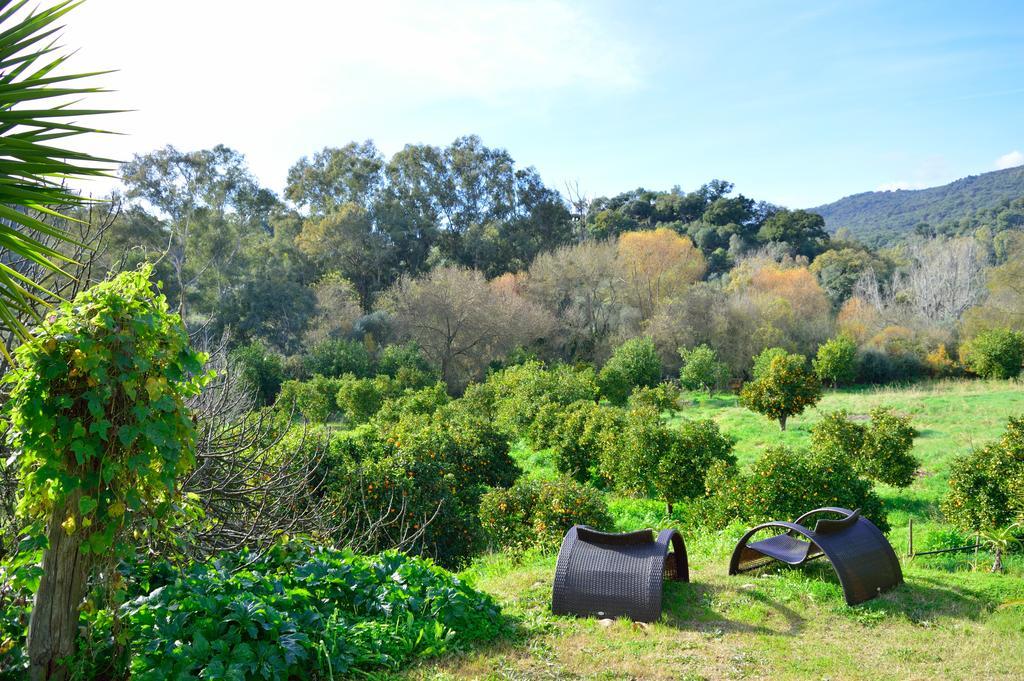 Casa Rural Ahoraya El Colmenar ภายนอก รูปภาพ
