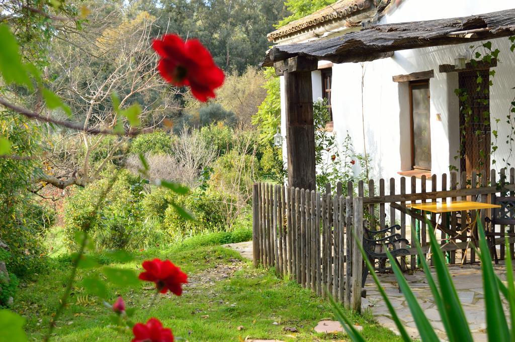 Casa Rural Ahoraya El Colmenar ภายนอก รูปภาพ