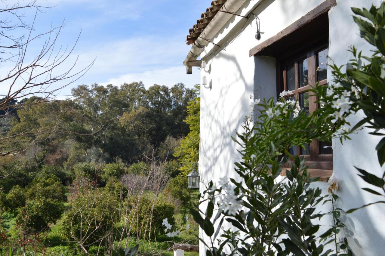 Casa Rural Ahoraya El Colmenar ภายนอก รูปภาพ